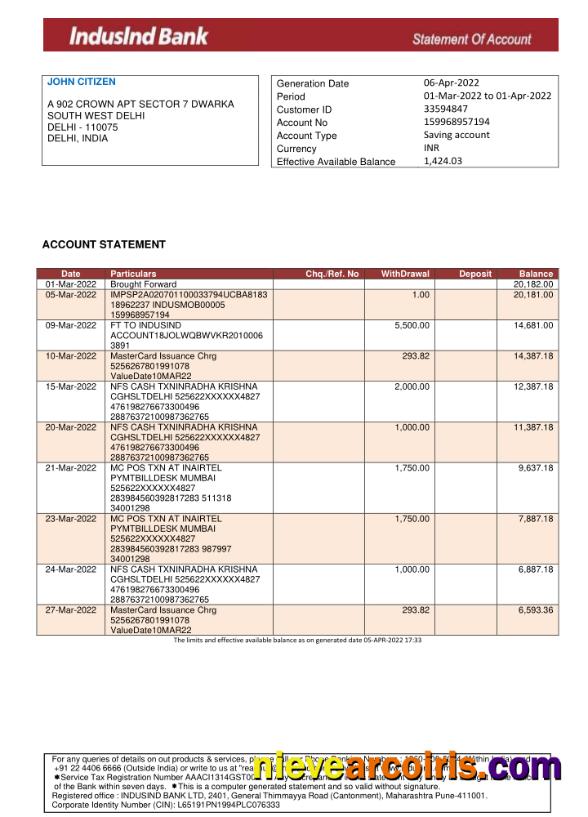 India IndusInd bank statement.1
